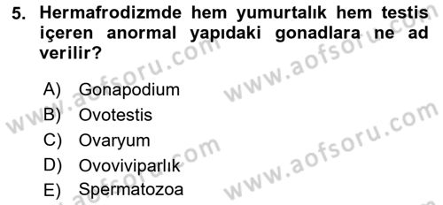 Balık Yetiştiriciliği Dersi 2018 - 2019 Yılı 3 Ders Sınav Soruları 5. Soru