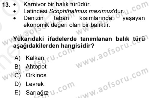 Balık Yetiştiriciliği Dersi 2018 - 2019 Yılı (Vize) Ara Sınav Soruları 13. Soru