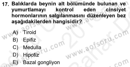 Balık Yetiştiriciliği Dersi 2018 - 2019 Yılı (Vize) Ara Sınav Soruları 17. Soru