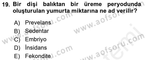 Balık Yetiştiriciliği Dersi 2018 - 2019 Yılı (Vize) Ara Sınav Soruları 19. Soru