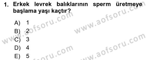 Balık Yetiştiriciliği Dersi 2018 - 2019 Yılı (Final) Dönem Sonu Sınav Soruları 1. Soru