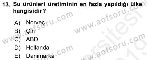 Balık Yetiştiriciliği Dersi 2018 - 2019 Yılı (Final) Dönem Sonu Sınav Soruları 13. Soru