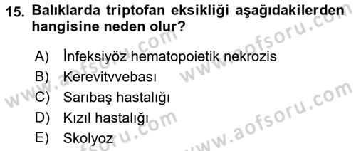Balık Yetiştiriciliği Dersi 2018 - 2019 Yılı (Final) Dönem Sonu Sınav Soruları 15. Soru