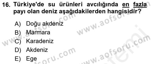 Balık Yetiştiriciliği Dersi 2018 - 2019 Yılı (Final) Dönem Sonu Sınav Soruları 16. Soru