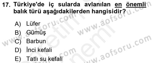 Balık Yetiştiriciliği Dersi 2018 - 2019 Yılı (Final) Dönem Sonu Sınav Soruları 17. Soru