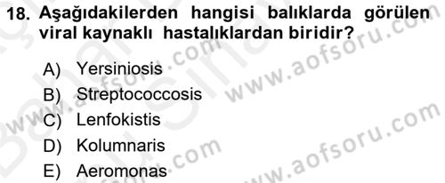 Balık Yetiştiriciliği Dersi 2018 - 2019 Yılı (Final) Dönem Sonu Sınav Soruları 18. Soru
