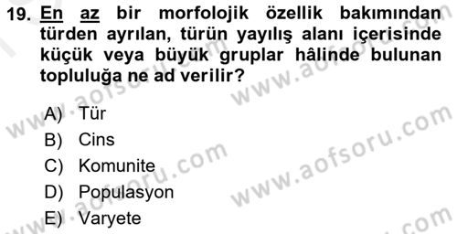 Balık Yetiştiriciliği Dersi 2018 - 2019 Yılı (Final) Dönem Sonu Sınav Soruları 19. Soru