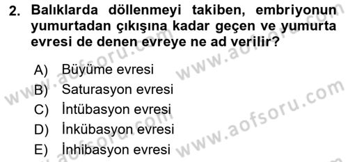 Balık Yetiştiriciliği Dersi 2018 - 2019 Yılı (Final) Dönem Sonu Sınav Soruları 2. Soru