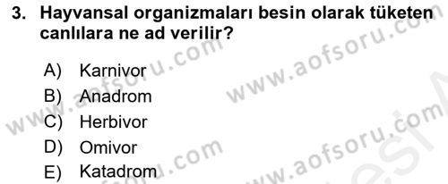 Balık Yetiştiriciliği Dersi 2018 - 2019 Yılı (Final) Dönem Sonu Sınav Soruları 3. Soru