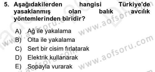 Balık Yetiştiriciliği Dersi 2018 - 2019 Yılı (Final) Dönem Sonu Sınav Soruları 5. Soru