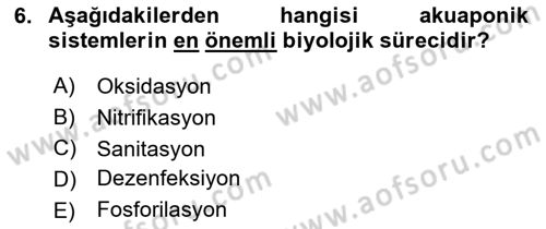 Balık Yetiştiriciliği Dersi 2018 - 2019 Yılı (Final) Dönem Sonu Sınav Soruları 6. Soru