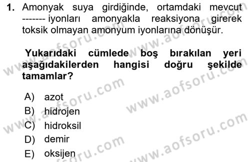 Balık Yetiştiriciliği Dersi 2020 - 2021 Yılı Yaz Okulu Sınav Soruları 1. Soru