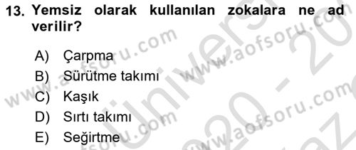 Balık Yetiştiriciliği Dersi 2020 - 2021 Yılı Yaz Okulu Sınav Soruları 13. Soru