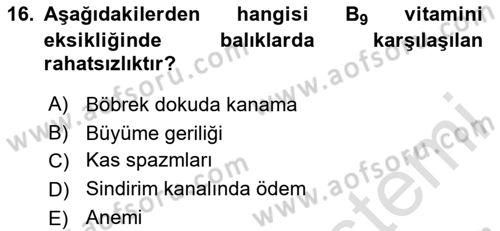Balık Yetiştiriciliği Dersi 2020 - 2021 Yılı Yaz Okulu Sınav Soruları 16. Soru