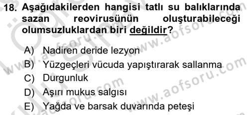 Balık Yetiştiriciliği Dersi 2020 - 2021 Yılı Yaz Okulu Sınav Soruları 18. Soru