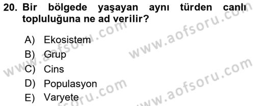 Balık Yetiştiriciliği Dersi 2020 - 2021 Yılı Yaz Okulu Sınav Soruları 20. Soru