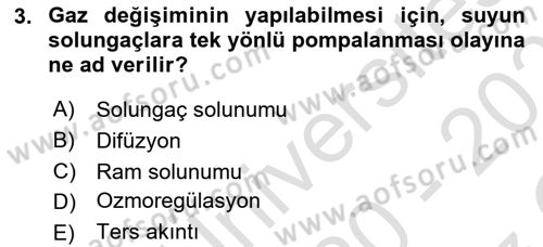 Balık Yetiştiriciliği Dersi 2020 - 2021 Yılı Yaz Okulu Sınav Soruları 3. Soru