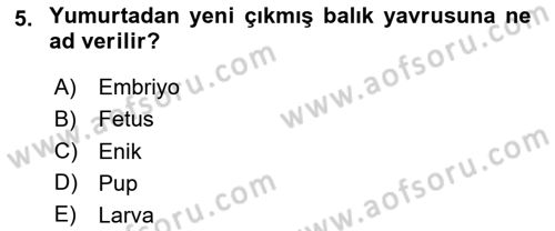 Balık Yetiştiriciliği Dersi 2020 - 2021 Yılı Yaz Okulu Sınav Soruları 5. Soru