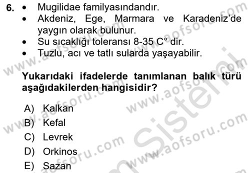 Balık Yetiştiriciliği Dersi 2020 - 2021 Yılı Yaz Okulu Sınav Soruları 6. Soru