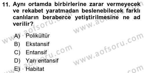 Balık Yetiştiriciliği Dersi 2021 - 2022 Yılı (Vize) Ara Sınav Soruları 11. Soru
