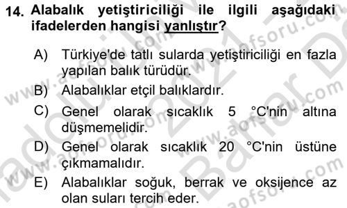 Balık Yetiştiriciliği Dersi 2021 - 2022 Yılı (Vize) Ara Sınav Soruları 14. Soru