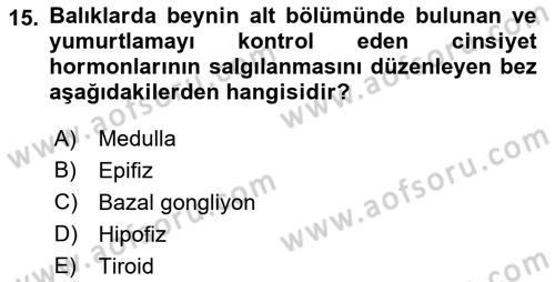 Balık Yetiştiriciliği Dersi 2021 - 2022 Yılı (Vize) Ara Sınav Soruları 15. Soru