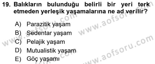 Balık Yetiştiriciliği Dersi 2021 - 2022 Yılı (Vize) Ara Sınav Soruları 19. Soru
