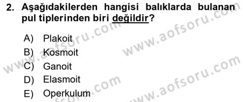Balık Yetiştiriciliği Dersi 2021 - 2022 Yılı (Vize) Ara Sınav Soruları 2. Soru