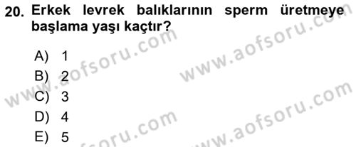 Balık Yetiştiriciliği Dersi 2021 - 2022 Yılı (Vize) Ara Sınav Soruları 20. Soru