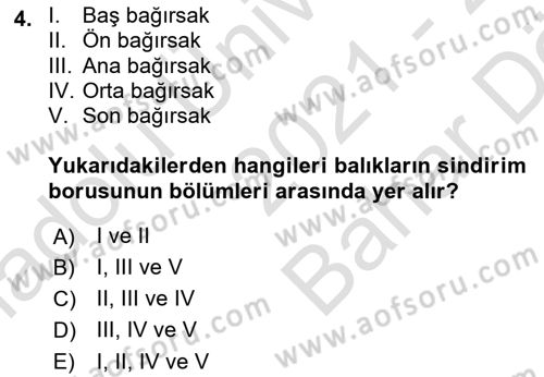 Balık Yetiştiriciliği Dersi 2021 - 2022 Yılı (Vize) Ara Sınav Soruları 4. Soru