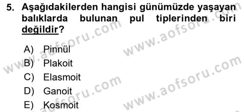 Balık Yetiştiriciliği Dersi 2021 - 2022 Yılı (Vize) Ara Sınav Soruları 5. Soru
