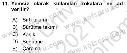 Balık Yetiştiriciliği Dersi 2021 - 2022 Yılı (Final) Dönem Sonu Sınavı 11. Soru