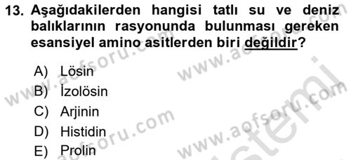 Balık Yetiştiriciliği Dersi 2021 - 2022 Yılı (Final) Dönem Sonu Sınav Soruları 13. Soru