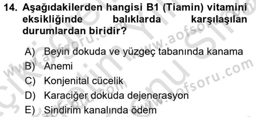 Balık Yetiştiriciliği Dersi 2021 - 2022 Yılı (Final) Dönem Sonu Sınav Soruları 14. Soru