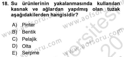 Balık Yetiştiriciliği Dersi 2021 - 2022 Yılı (Final) Dönem Sonu Sınav Soruları 18. Soru