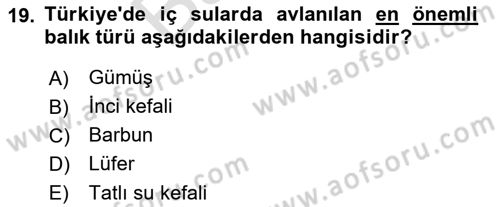 Balık Yetiştiriciliği Dersi 2021 - 2022 Yılı (Final) Dönem Sonu Sınav Soruları 19. Soru