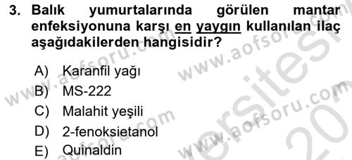Balık Yetiştiriciliği Dersi 2021 - 2022 Yılı (Final) Dönem Sonu Sınav Soruları 3. Soru