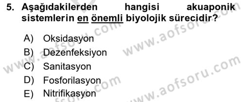 Balık Yetiştiriciliği Dersi 2021 - 2022 Yılı (Final) Dönem Sonu Sınav Soruları 5. Soru