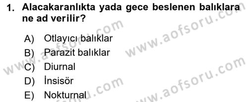 Balık Yetiştiriciliği Dersi 2021 - 2022 Yılı Yaz Okulu Sınav Soruları 1. Soru