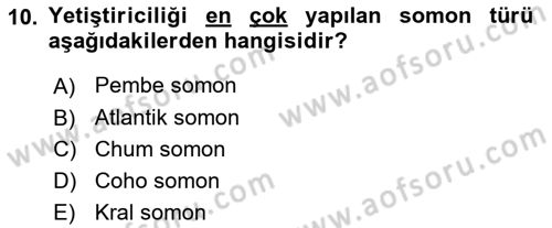 Balık Yetiştiriciliği Dersi 2021 - 2022 Yılı Yaz Okulu Sınav Soruları 10. Soru