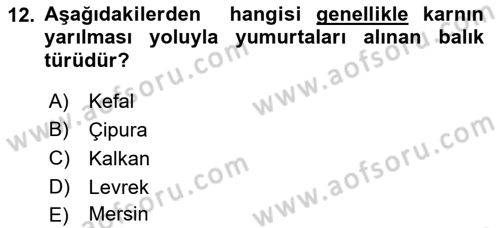 Balık Yetiştiriciliği Dersi 2021 - 2022 Yılı Yaz Okulu Sınav Soruları 12. Soru
