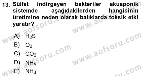 Balık Yetiştiriciliği Dersi 2021 - 2022 Yılı Yaz Okulu Sınav Soruları 13. Soru