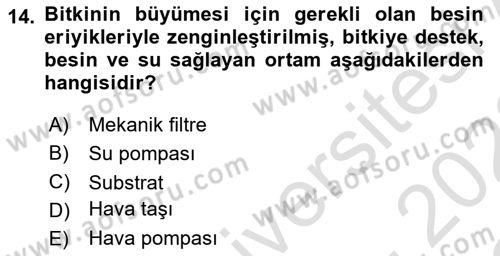 Balık Yetiştiriciliği Dersi 2021 - 2022 Yılı Yaz Okulu Sınav Soruları 14. Soru