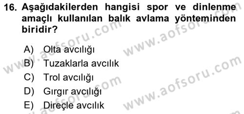 Balık Yetiştiriciliği Dersi 2021 - 2022 Yılı Yaz Okulu Sınav Soruları 16. Soru