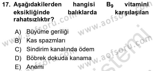 Balık Yetiştiriciliği Dersi 2021 - 2022 Yılı Yaz Okulu Sınav Soruları 17. Soru