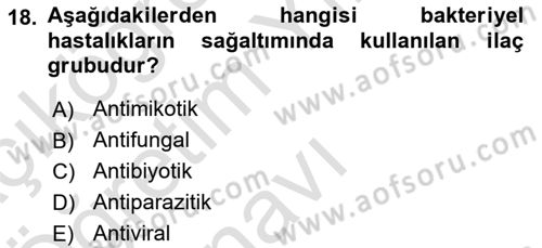 Balık Yetiştiriciliği Dersi 2021 - 2022 Yılı Yaz Okulu Sınav Soruları 18. Soru