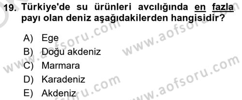 Balık Yetiştiriciliği Dersi 2021 - 2022 Yılı Yaz Okulu Sınav Soruları 19. Soru