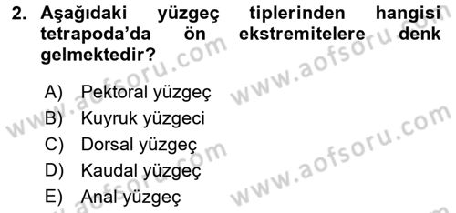 Balık Yetiştiriciliği Dersi 2021 - 2022 Yılı Yaz Okulu Sınav Soruları 2. Soru