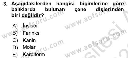 Balık Yetiştiriciliği Dersi 2021 - 2022 Yılı Yaz Okulu Sınav Soruları 3. Soru