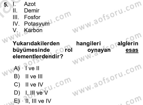 Balık Yetiştiriciliği Dersi 2021 - 2022 Yılı Yaz Okulu Sınav Soruları 5. Soru